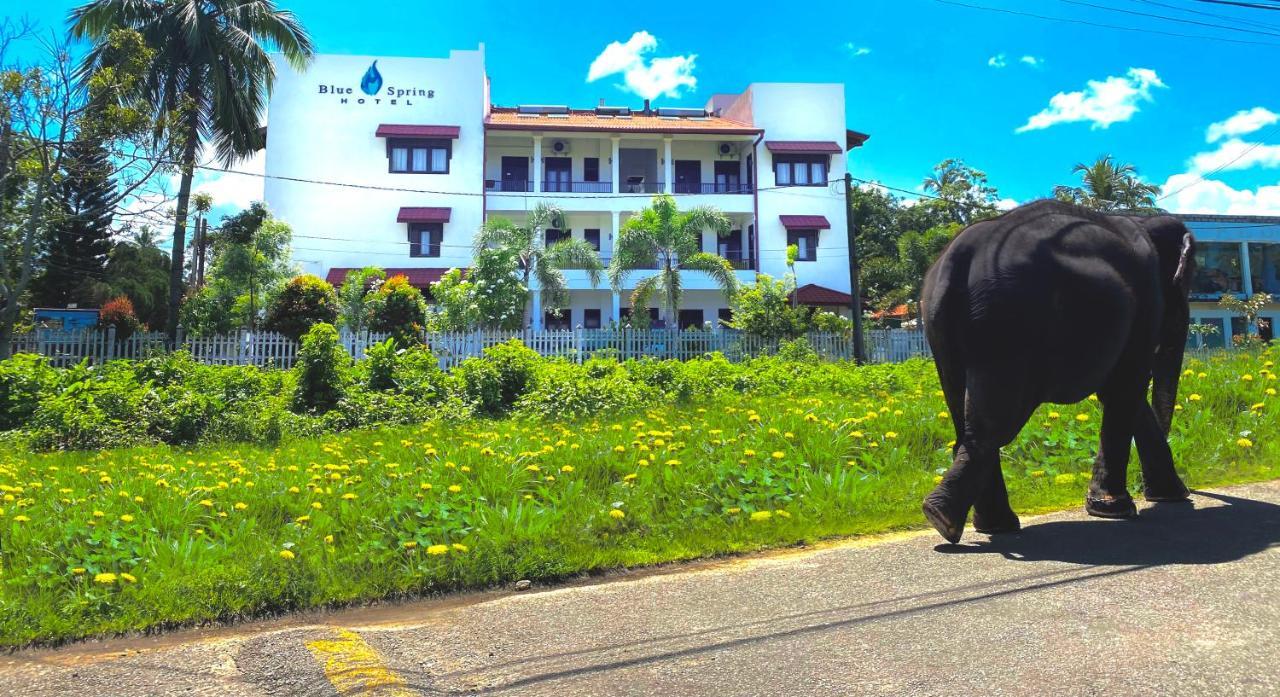 Blue Spring Hotel Wadduwa Εξωτερικό φωτογραφία